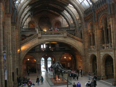 Visita al Museo de Historia Natural de Londres