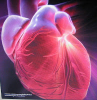 El corazón tiene cerebro.